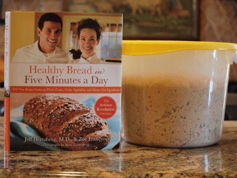 Whole Wheat Bread in 5 Min a Day