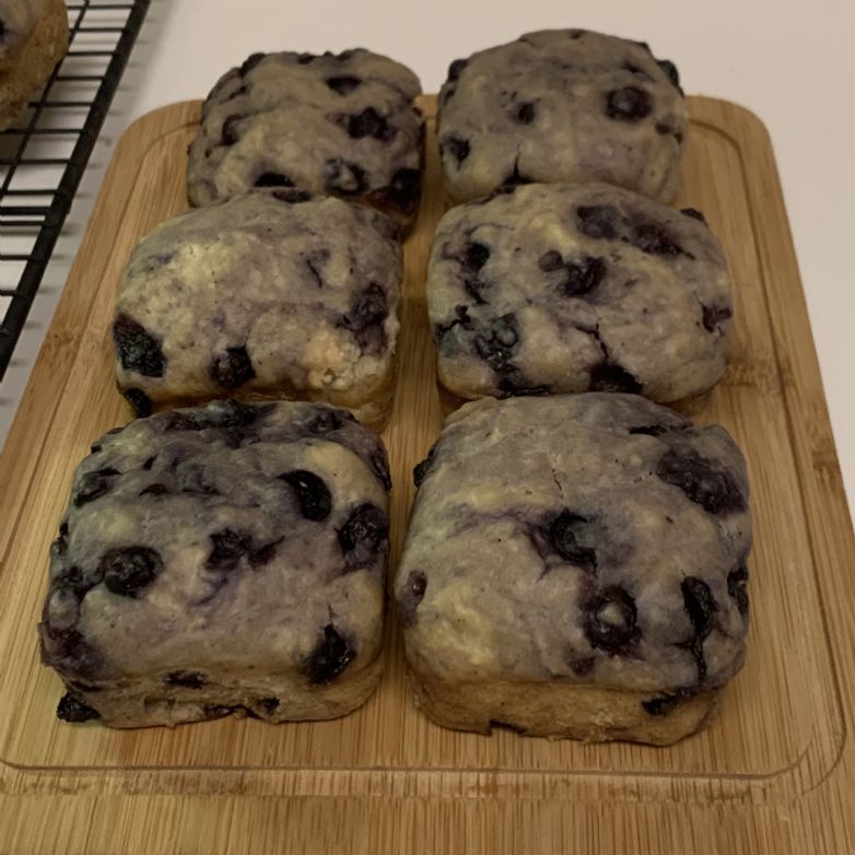 Blueberry Sourdough Muffins