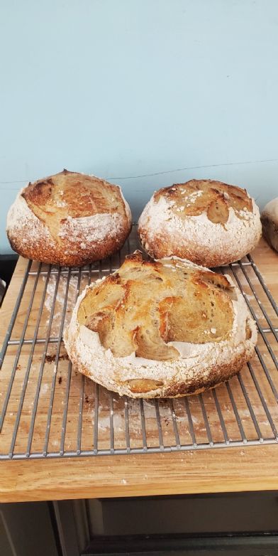 Simple Weekday Sourdough Bread