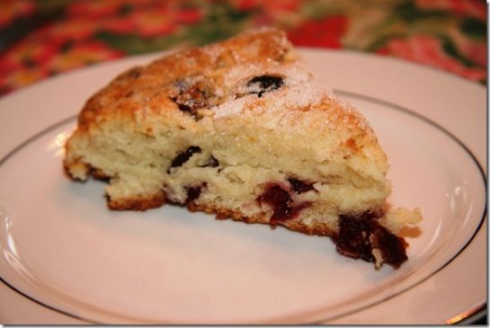 FANNETASTIC FOOD's Cranberry Yogurt Scones