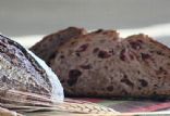 Cranberry Walnut Whole Wheat Sourdough