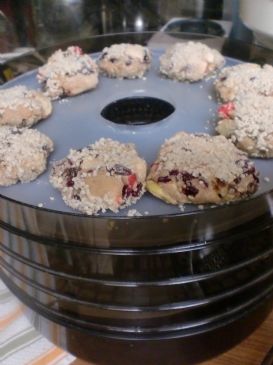 Raw oatmeal cookies from Daniel Fast Food