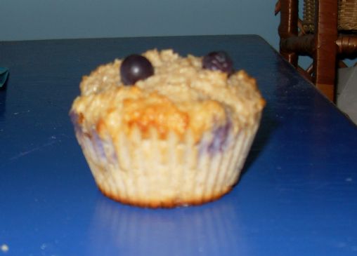 Blueberry Oat Protein Muffins