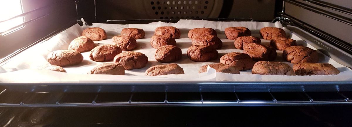 Choc peanut bickies