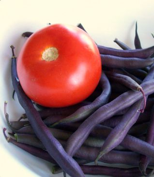 Purple Bean and Tomato Salad