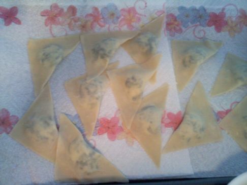 Easy, Easy Homeade Spinach Ravioli