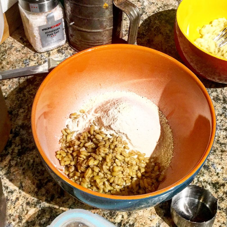 Blueberry Wheat Berry Muffins