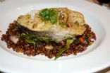 Roast cod on spiced Puy lentils
