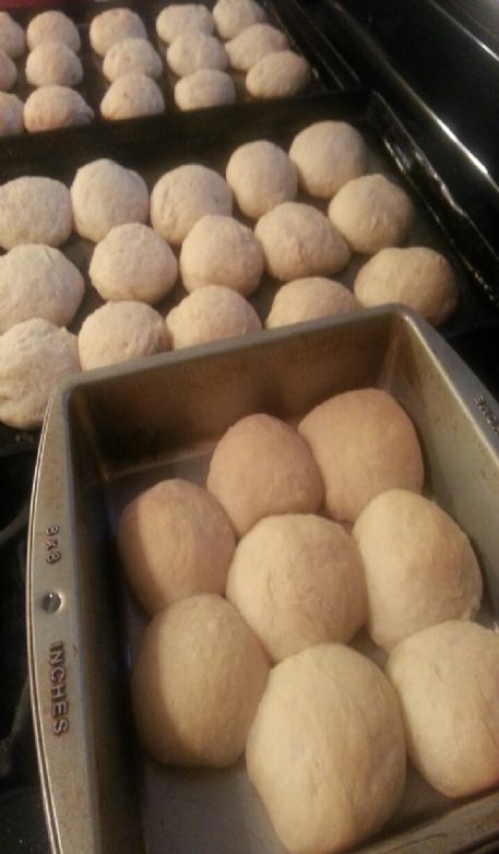 My dinner rolls