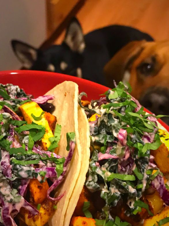 Roasted Veggie Tacos with Creamy Lime Slaw
