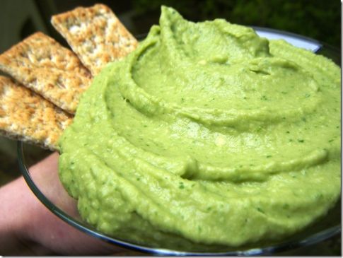 Fantastic Hummus Guacamole Dip