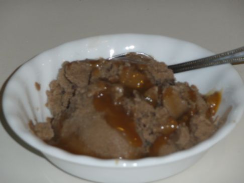 Chocolate Ice Cream knock-off (low carb, no added sugar)