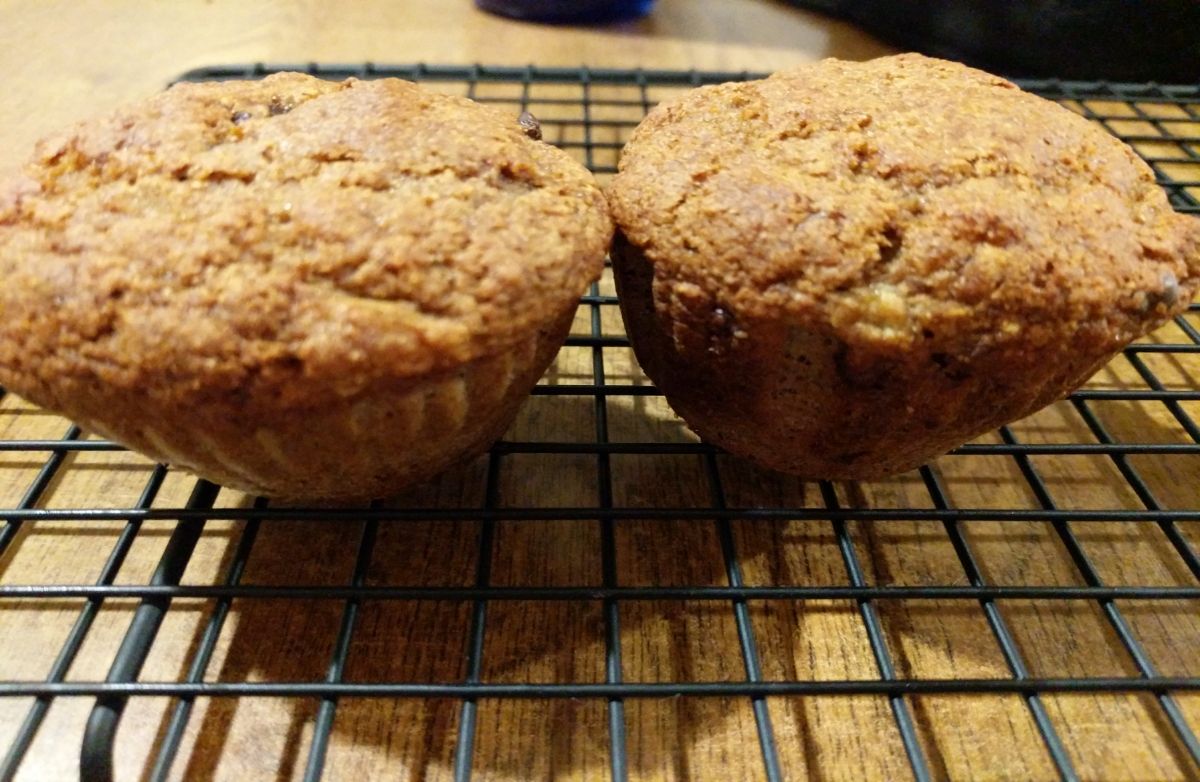 Sprouted Wheat Banana Chocolate Chip Muffins