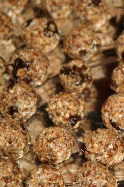 cinnamon raisin lactation balls