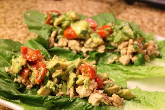 Chicken Wraps with Avocado Salsa