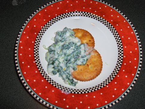 Spinach and Green Onion Dip
