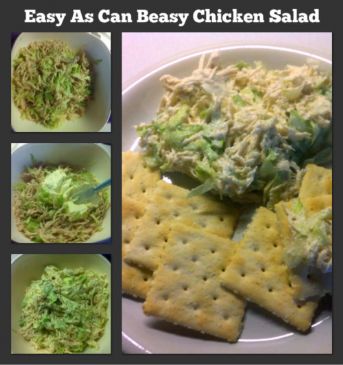 Easy As Can Beasy Chicken Salad