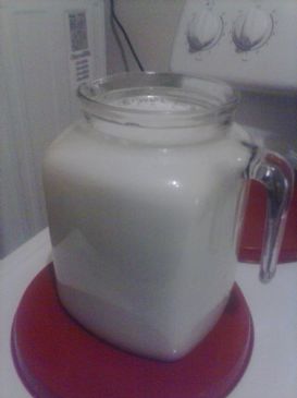 Homemade Hemp Milk