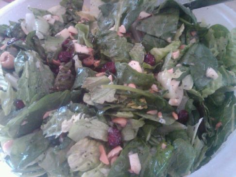 Apple Craisin salad