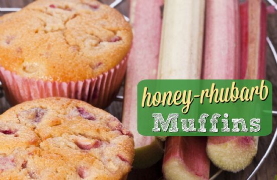 Honey - Rhubarb Muffins
