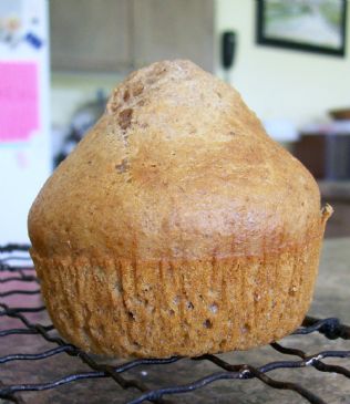 Sweet n' Sourdough Raisin Spice Muffins