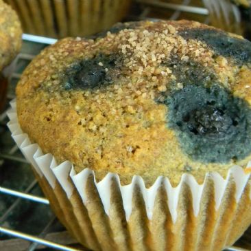 Gluten-Free, Soy-Free, Vegan Blueberry Cornmeal Muffins