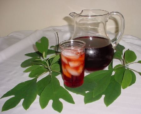 Sassafras - Traditional (Ga-Na-S-Da-Tsi) Native American Tea