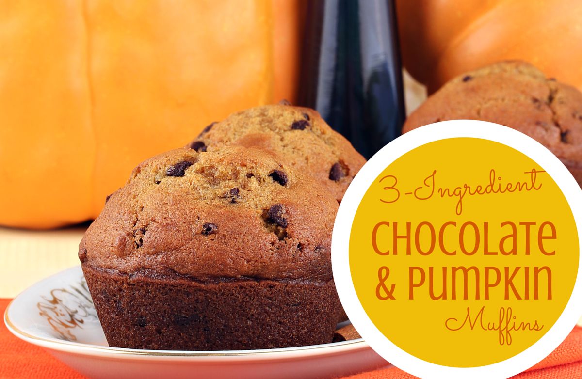3-Ingredient Chocolate Pumpkin Muffins