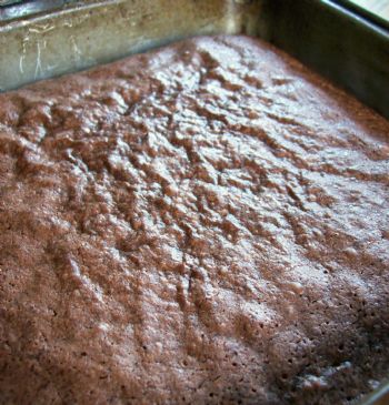 Sourdough Brownies