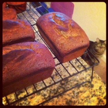 Pumpkin Bread Gluten Free