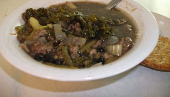 Tonya's vegie, beef under 100 calories soup