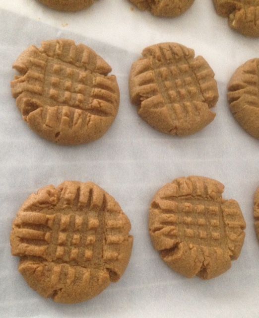 Gluten Free 3 Ingredient Peanut Butter Cookies