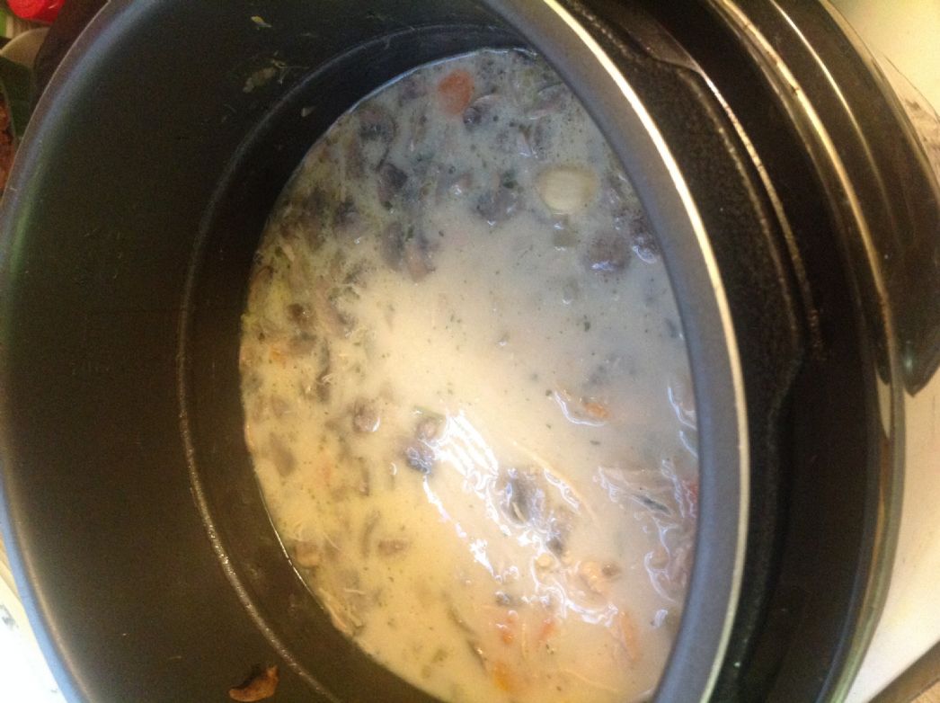 Wild Rice Chicken and Mushroom Soup