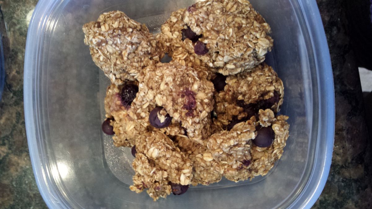 3 Ingredient Snack- Blueberries, Oats and Blueberries