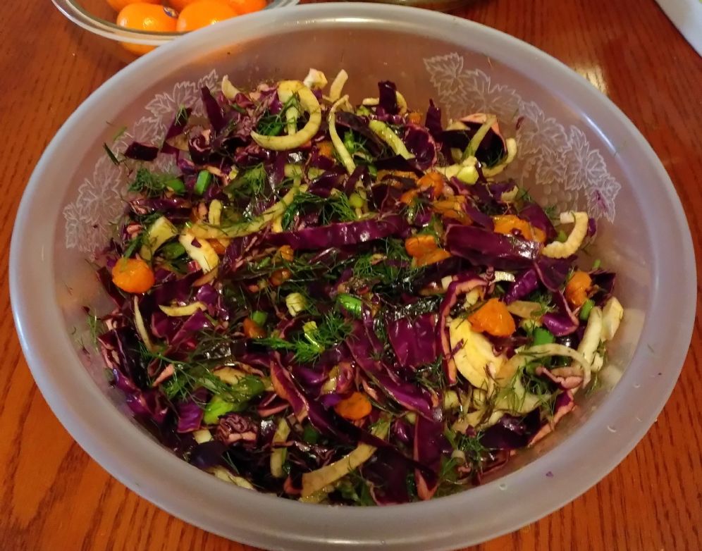 Healthy Fennel, orange and red cabbage salad