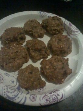 Low Carb Chocolate Oatmeal Cookies