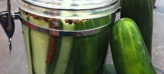 No-Salt Dill Refrigerator Pickles