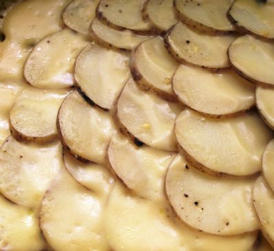 Creamy Potatoes au Gratin