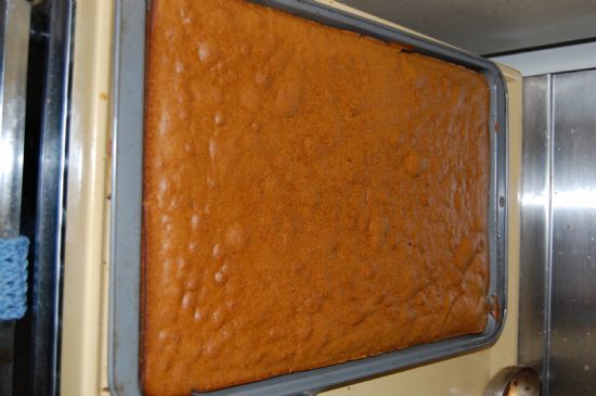 Carrot Bars with Baby food