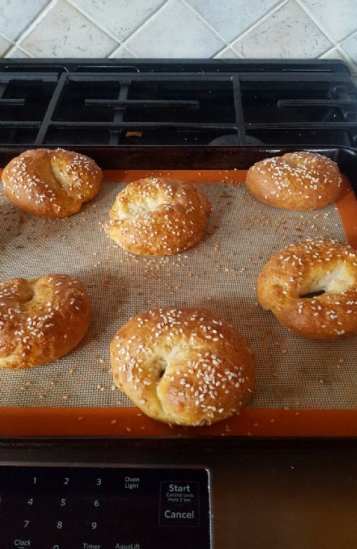 Homemade Bagel