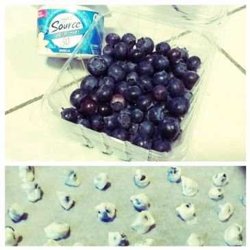 Yogurt-Covered Blueberries