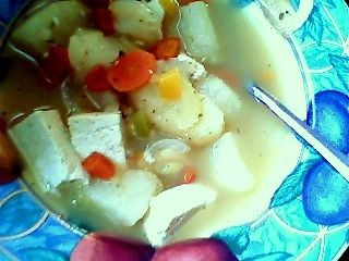 vegan tofu and vegetable soup