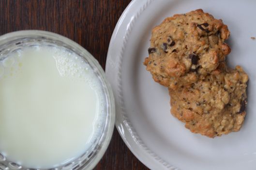 Chia Seed Peanut Butter Cookies