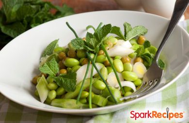 Fresh Fava Bean Salad