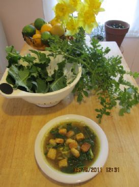 Simple Spring Garden Chicken Soup