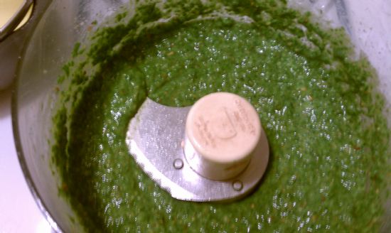 Vegan Sorrel Pesto