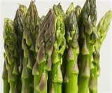 Asparagus Vegetable and Cream Sauce w/Croutons