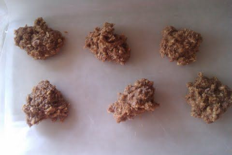 Protein No Bake Cookies