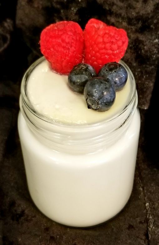 Bridget May's EASY Thick, Creamy Homemade Yogurt W/OUT A Yogurt Maker (one cup)