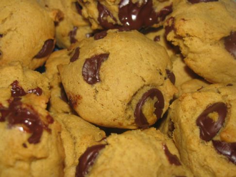 Pumpkin Pie Spice Dark Chocolate Chip Cookies